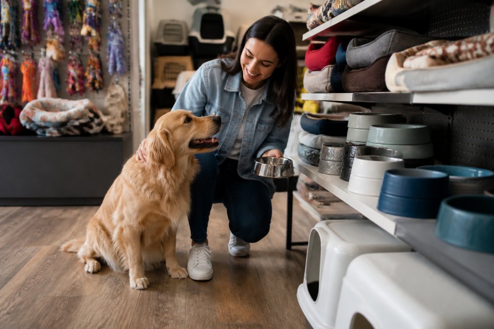 Why Switch to Premium Pet Supply Stores in 2026