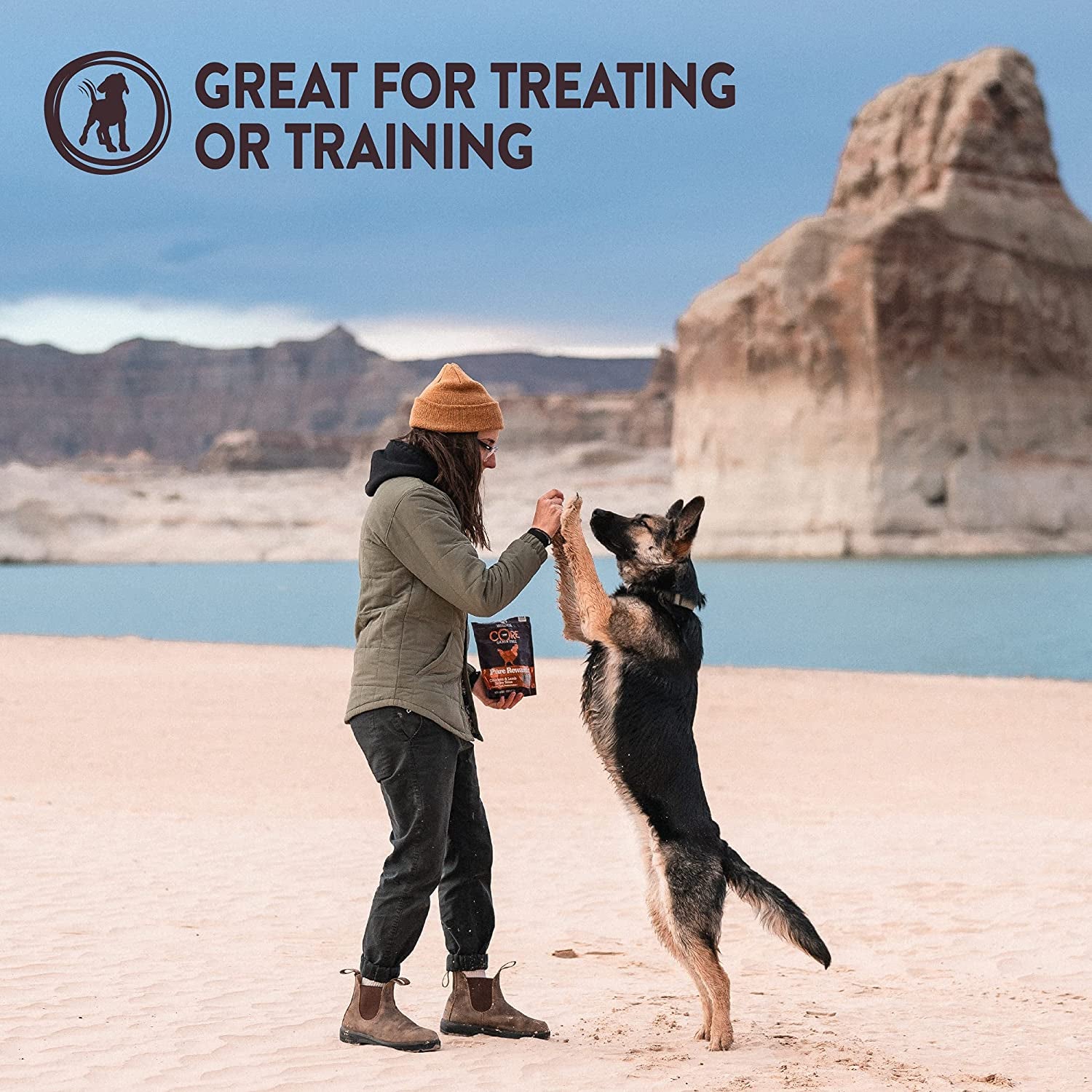 Wellness CORE Pure Rewards Grain-Free Tender Jerky Treats - Turkey Recipe, 4 oz Bag, Made in the USA