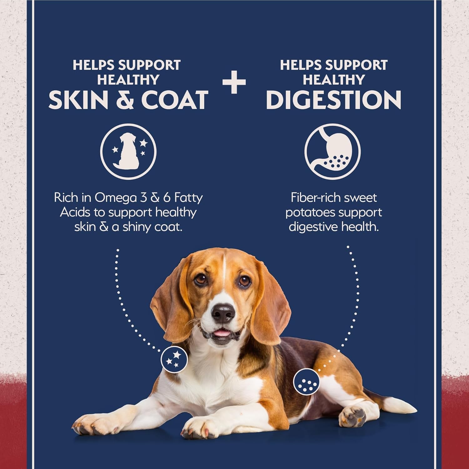 Natural Balance Limited Ingredient Diet Sweet Potato & BISON Recipe - Grain-Free Dry Dog Food for All Life Stages, 4 lb
