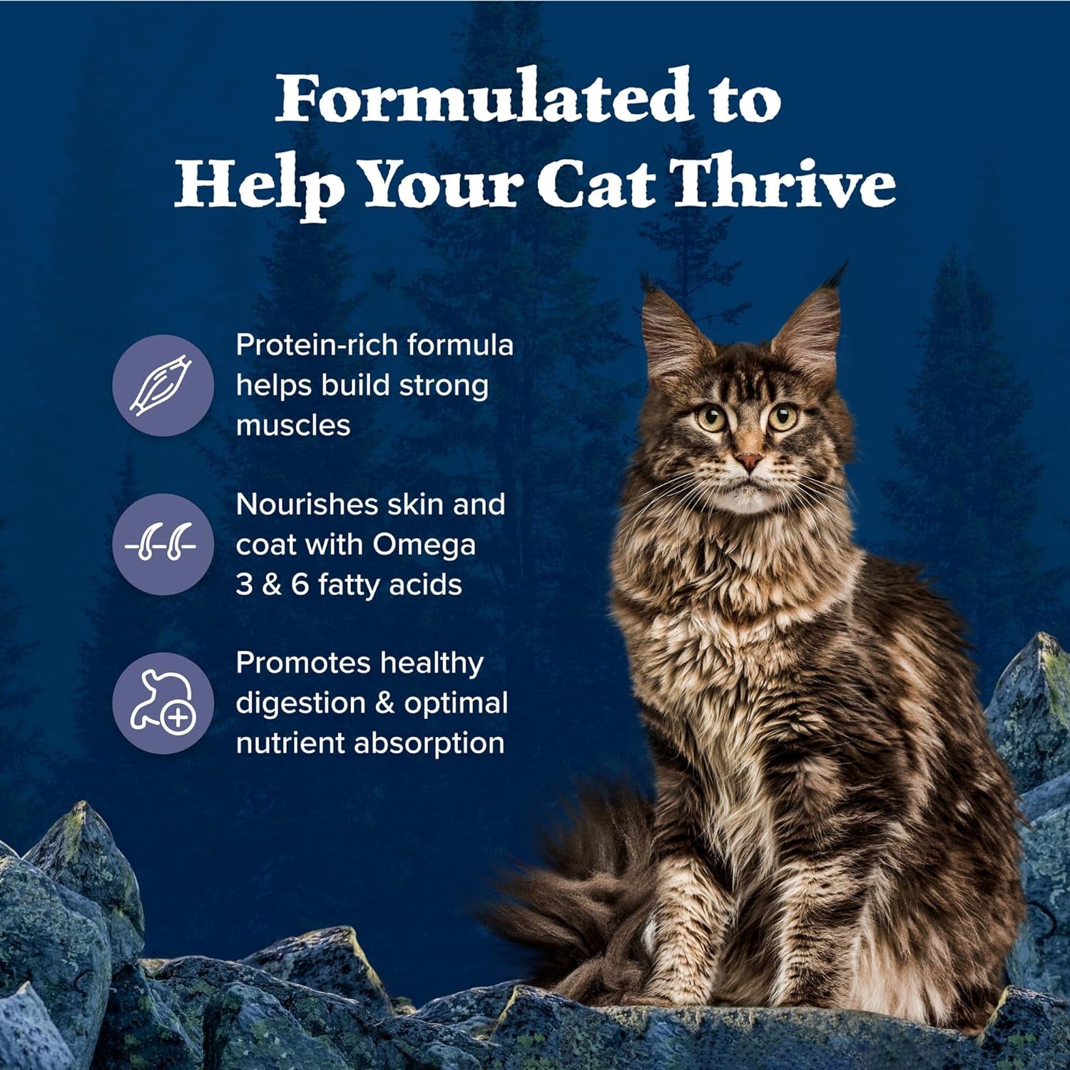 Blue Buffalo Wilderness High-Protein, Grain-Free Natural Dry Cat Food with Chicken for Adults, 6 lb Bag