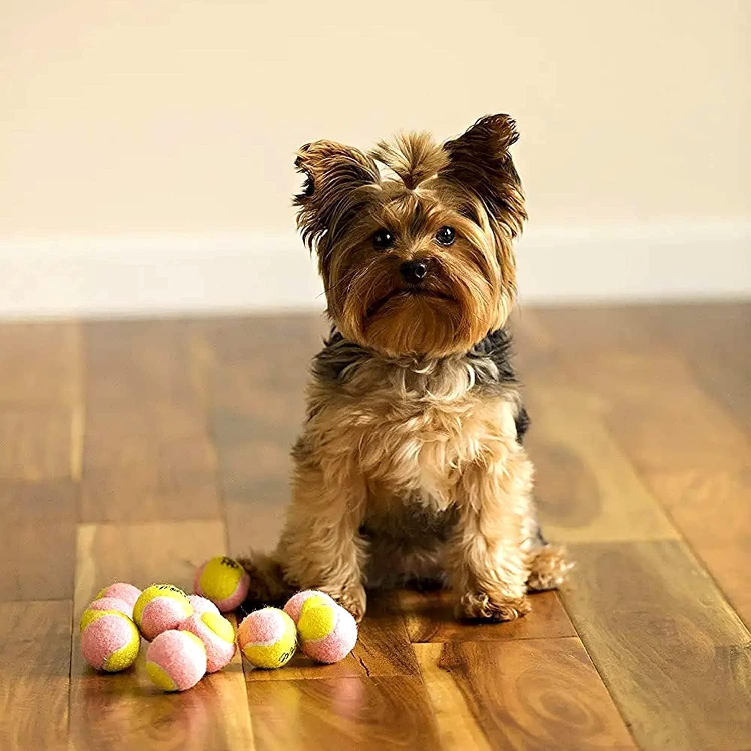 Midlee X-Small Dog Tennis Balls 1.5