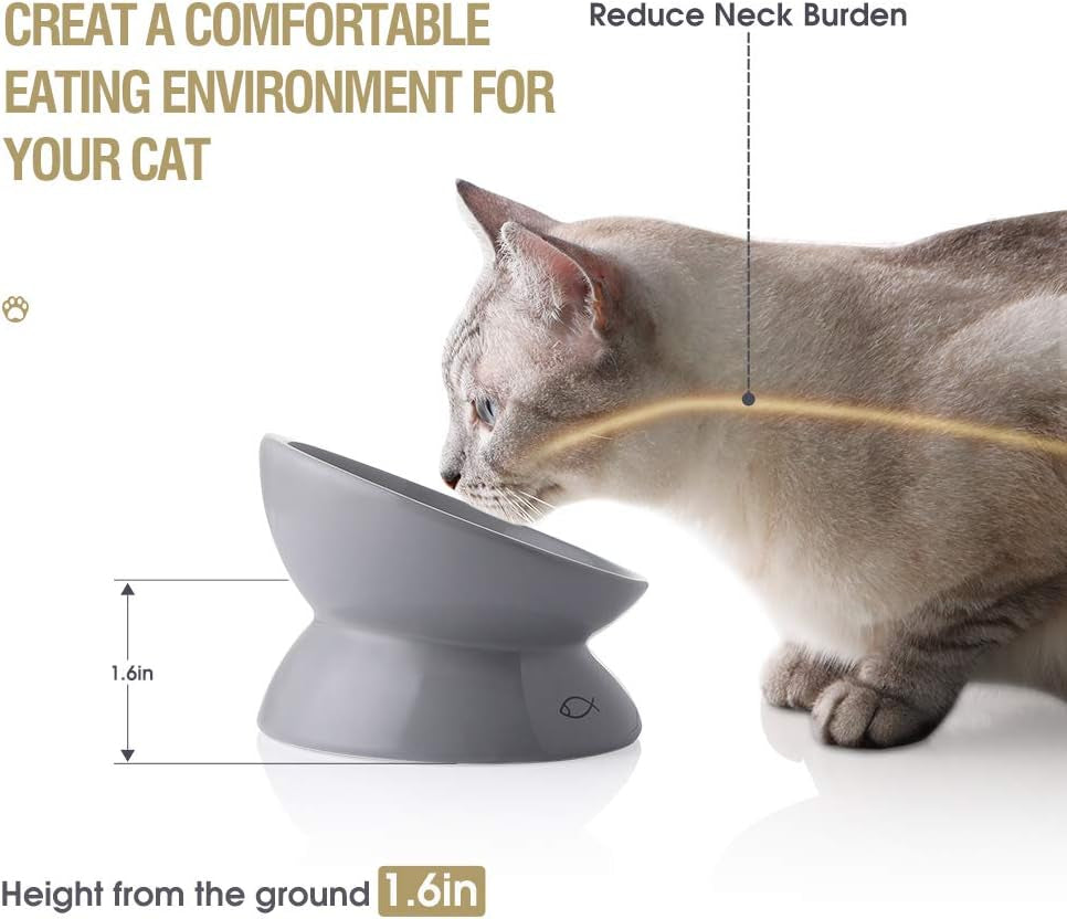 Sweejar Elevated Ceramic Cat Bowls, Slanted Porcelain Feeder for Food and Water, Spine-Protection Design with Backflow Prevention (Gray)
