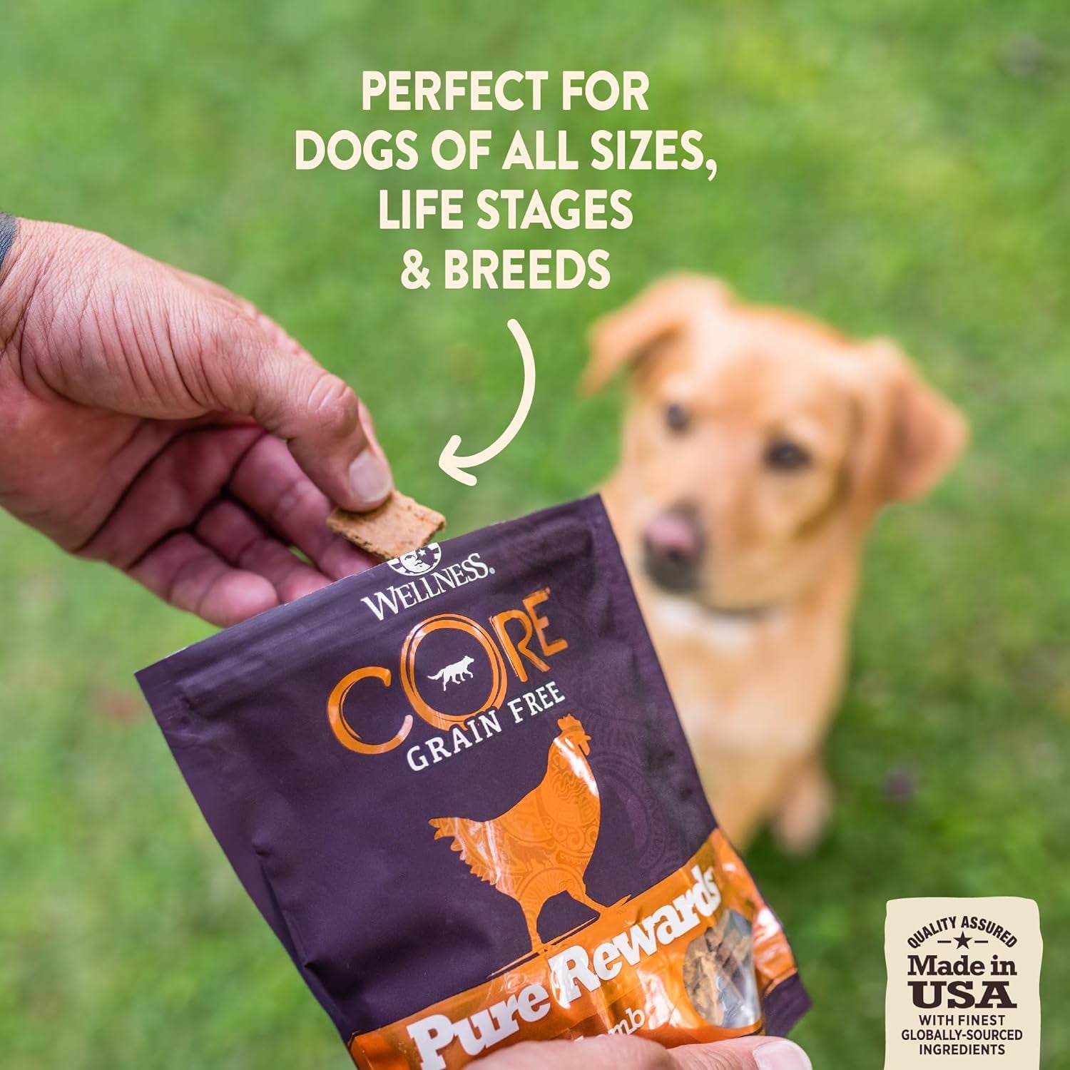 Wellness CORE Pure Rewards Grain-Free Tender Jerky Treats - Turkey Recipe, 4 oz Bag, Made in the USA