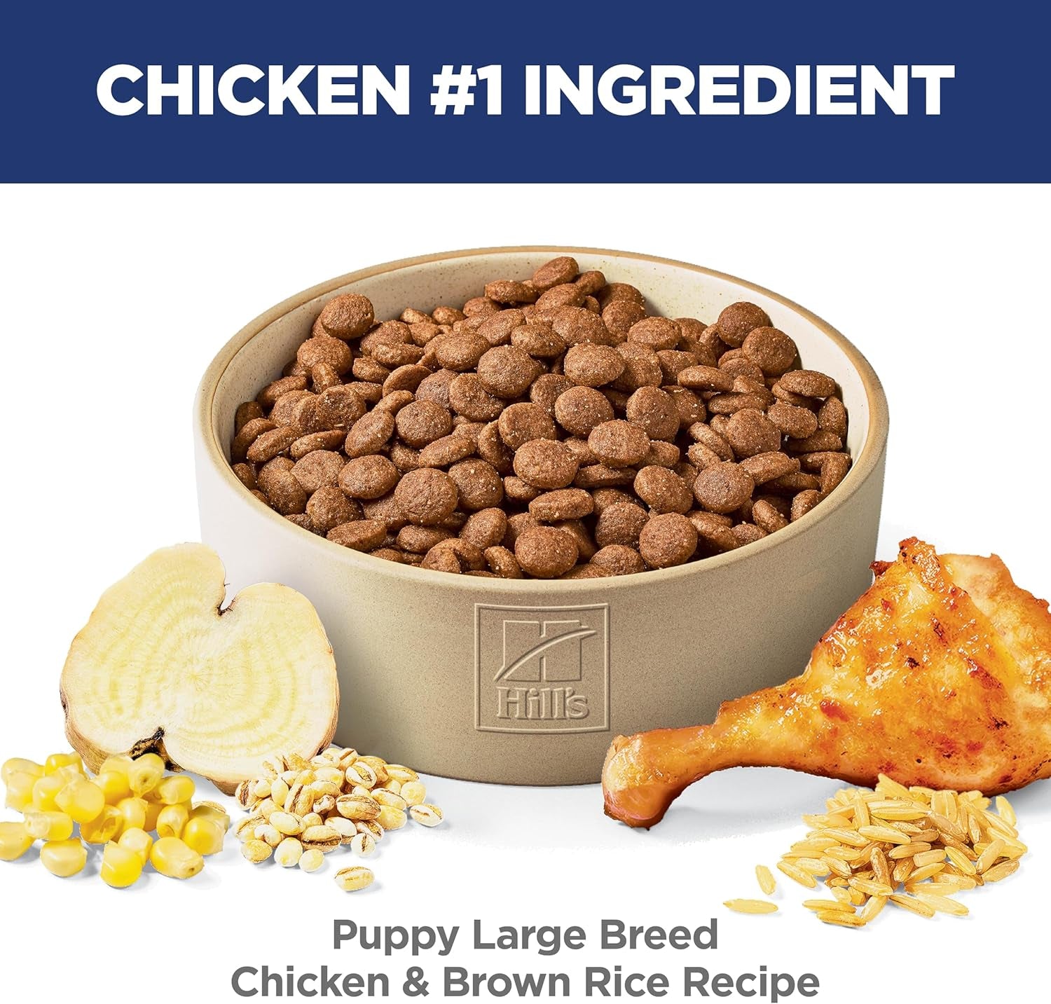 Hill's Science Diet Large Breed Puppy Food with DHA for Healthy Development, Chicken & Brown Rice, 15.5 lb Bag