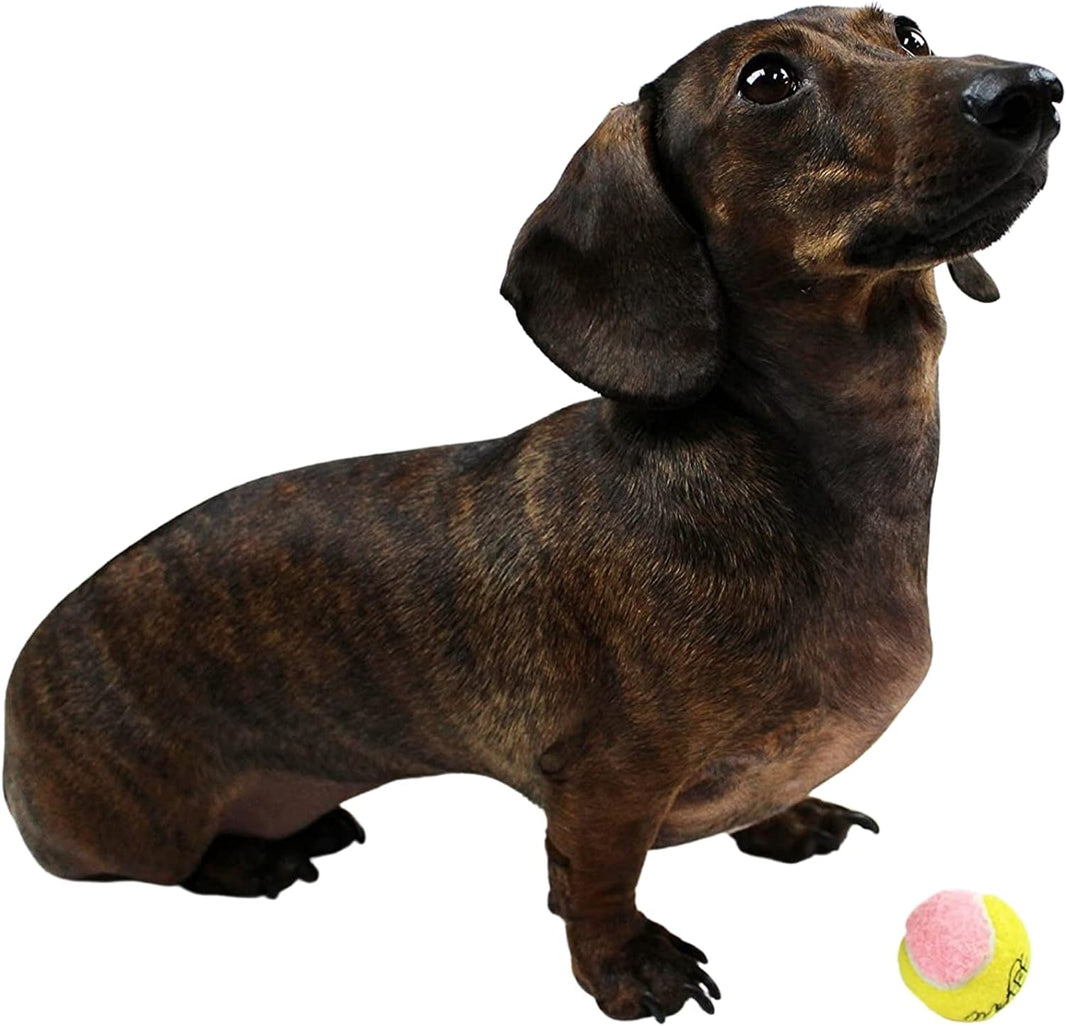 Midlee X-Small Dog Tennis Balls 1.5" - Pack of 12 Mini Fetch Balls for Puppies - Yellow and Pink