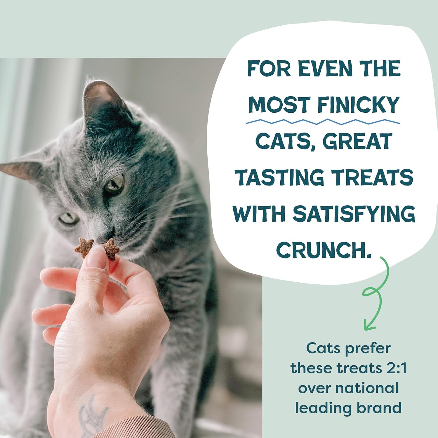 Shameless Pets Crunchy Cat Treats - Natural Catnip Snacks with Digestive Support and Real Ingredients for Kittens, Catnip N Chill Chicken Liver Flavor, 12 Oz