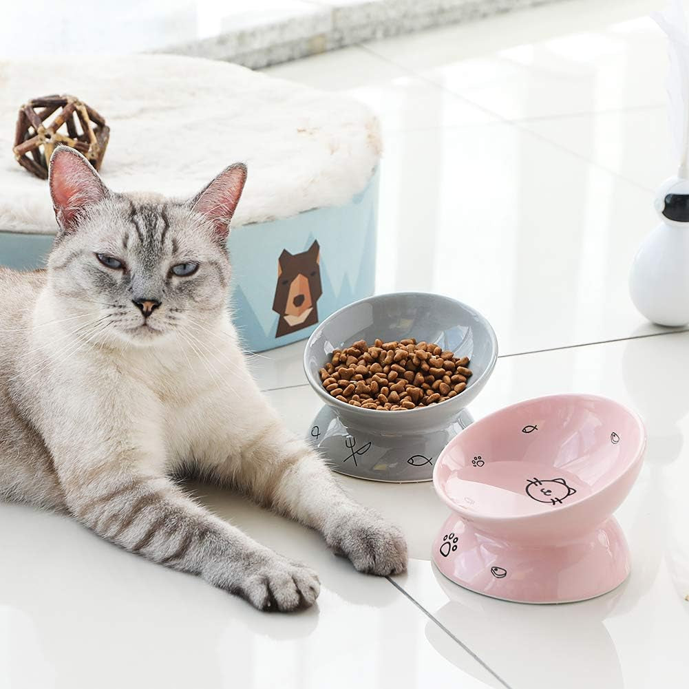 Sweejar Elevated Ceramic Cat Bowls, Slanted Porcelain Feeder for Food and Water, Spine-Protection Design with Backflow Prevention (Gray)