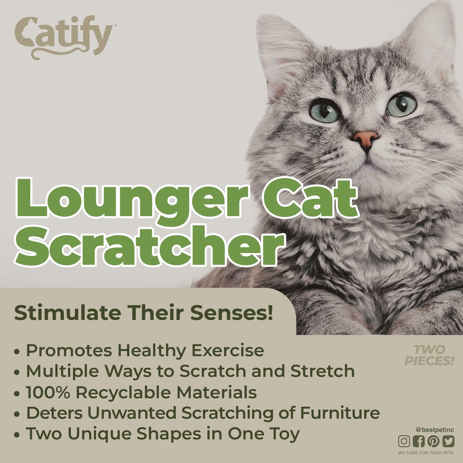 Ultimate Catify Interactive Scratcher - Durable Claw Protector and Fun Indoor Playground for Your Feline Friend