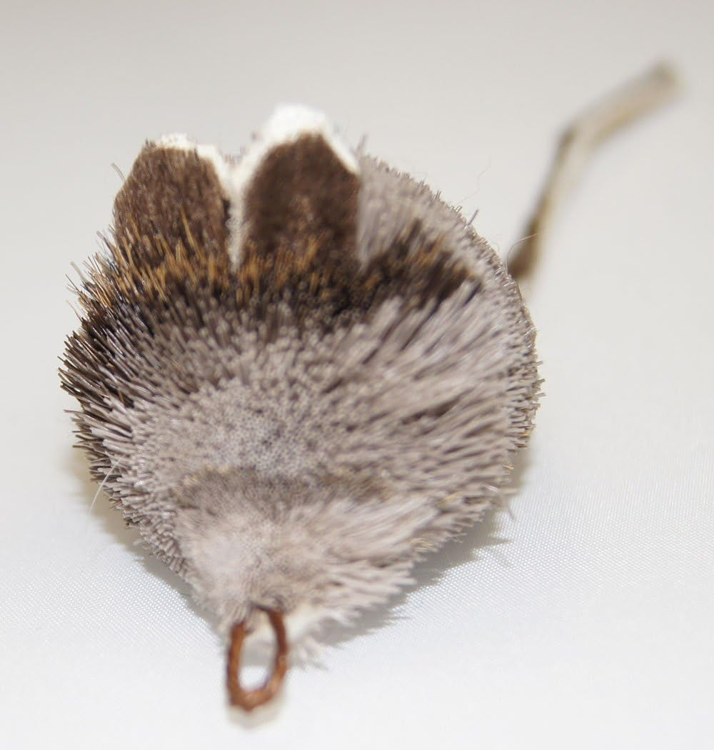 Rat Pack Refill and Attachments Compatible with Wildcat and Popular Bird and Mouse Wands/Poles