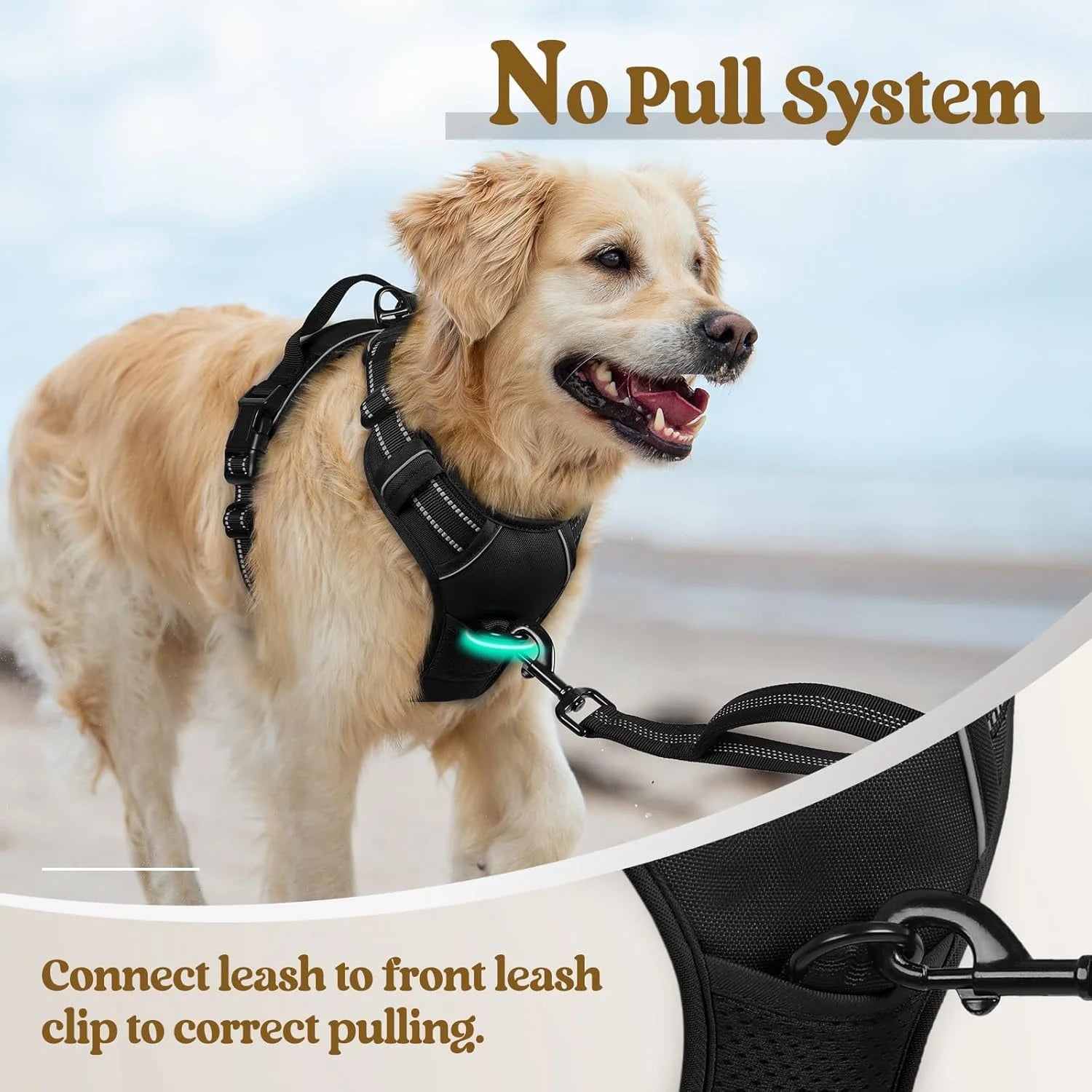 Ultimate No-Pull Dog Harness for Large Breeds - Adjustable, Reflective, and Comfortable with 2 Leash Clips and Easy Control Handle in Classic Black
