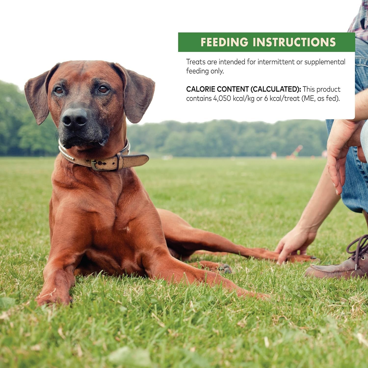 Wellness CORE Pure Rewards Grain-Free Tender Jerky Treats - Turkey Recipe, 4 oz Bag, Made in the USA