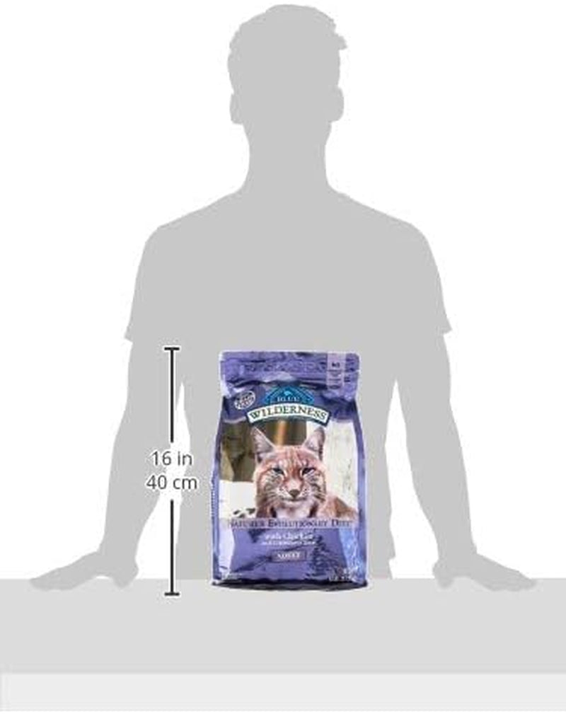 Blue Buffalo Wilderness High-Protein, Grain-Free Natural Dry Cat Food with Chicken for Adults, 6 lb Bag